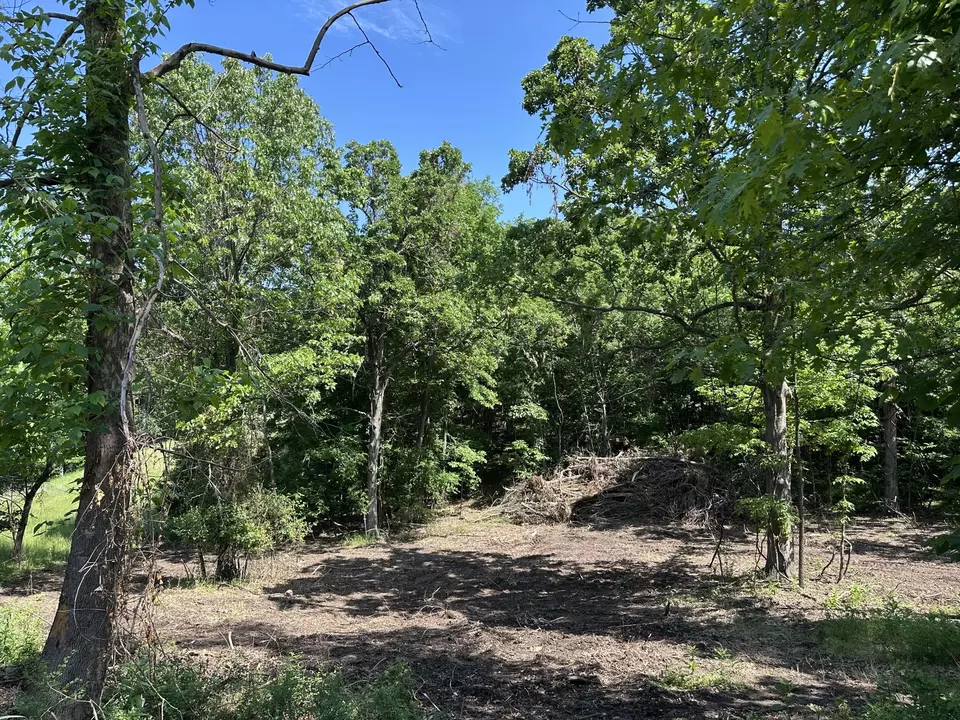  lot30 Shoal Creek Ests, Joplin, MO 64804 photo 1