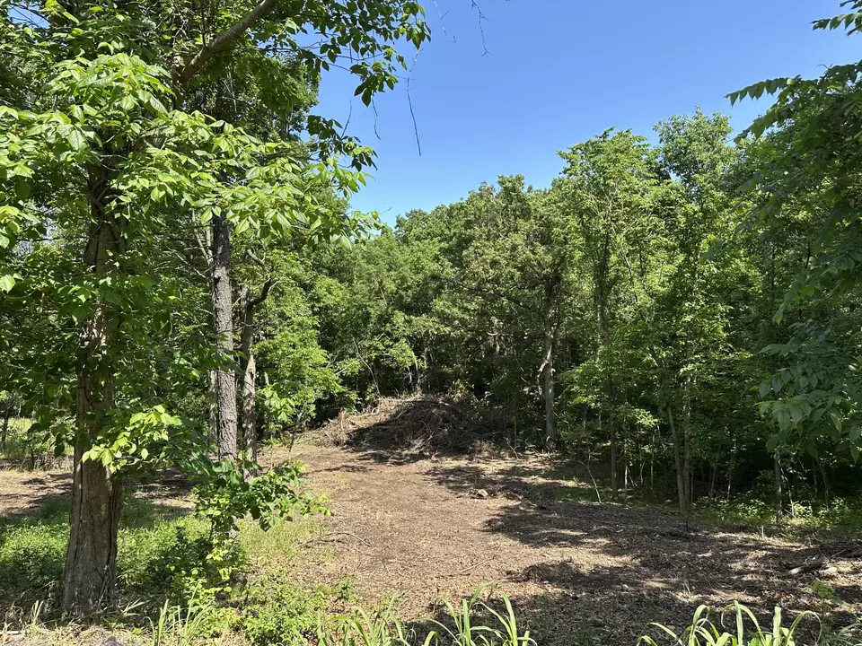  lot30 Shoal Creek Ests, Joplin, MO 64804 photo 3