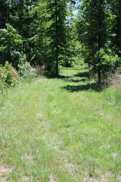 3578 State Highway 99, Birch Tree, MO 65438 photo 2