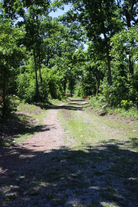 3578 State Highway 99, Birch Tree, MO 65438 photo 15