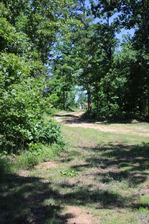 3578 State Highway 99, Birch Tree, MO 65438 photo 5