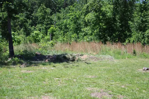 3578 State Highway 99, Birch Tree, MO 65438 photo 20