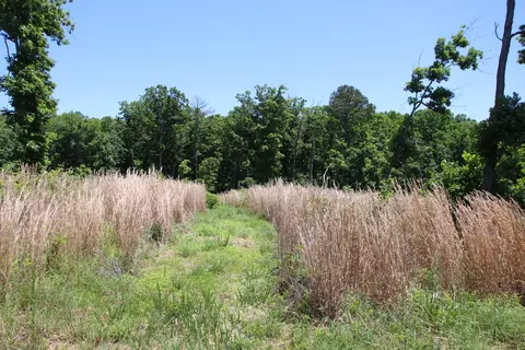 3578 State Highway 99, Birch Tree, MO 65438 photo 6
