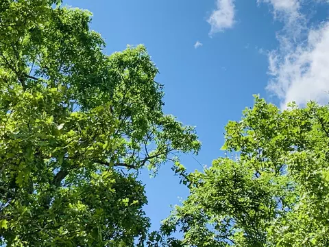 000 Lakeshore Rd #LOT 41, Protem, MO 65733 photo 30