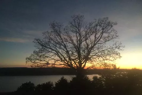 000 Lakeshore Rd #LOT 41, Protem, MO 65733 photo 19