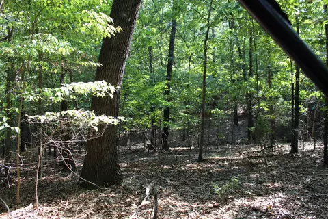 000 Lakeshore Rd #LOT 41, Protem, MO 65733 photo 15