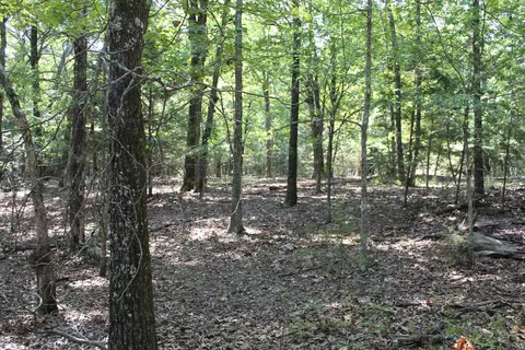 000 Lakeshore Rd #LOT 41, Protem, MO 65733 photo 3