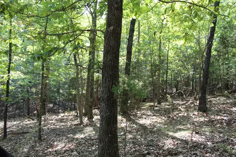 000 Lakeshore Rd #LOT 41, Protem, MO 65733 photo 14