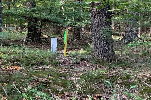 000 Lakeshore Rd #LOT 41, Protem, MO 65733 photo 34