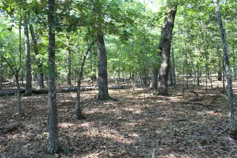 000 Lakeshore Rd #LOT 41, Protem, MO 65733 photo 13