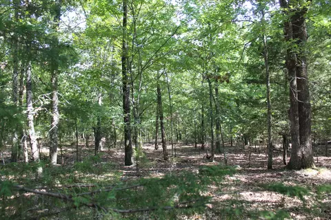 000 Lakeshore Rd #LOT 41, Protem, MO 65733 photo 17