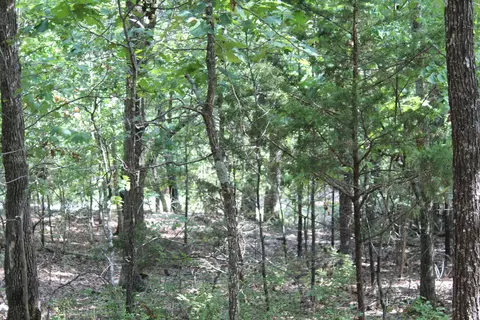 000 Lakeshore Rd #LOT 41, Protem, MO 65733 photo 9