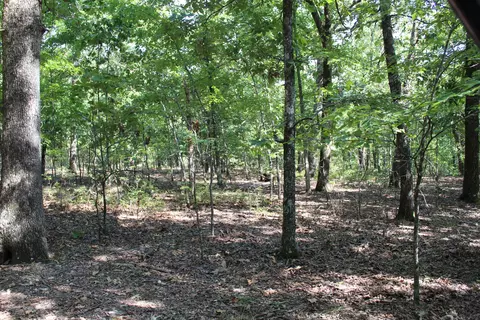 000 Lakeshore Rd #LOT 41, Protem, MO 65733 photo 5