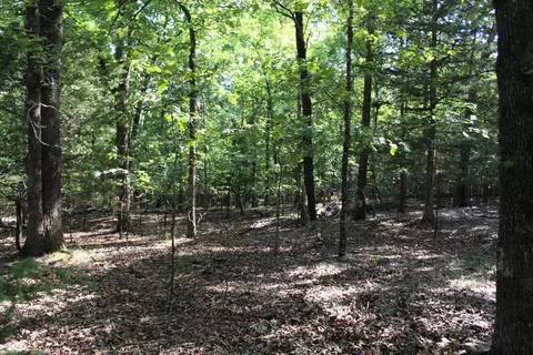 000 Lakeshore Rd #LOT 41, Protem, MO 65733 photo 18