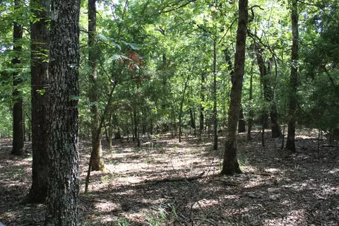 000 Lakeshore Rd #LOT 41, Protem, MO 65733 photo 4