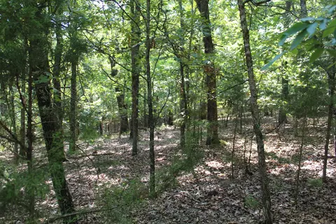 000 Lakeshore Rd #LOT 41, Protem, MO 65733 photo 7