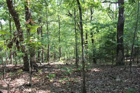 000 Lakeshore Rd #LOT 41, Protem, MO 65733 photo 6