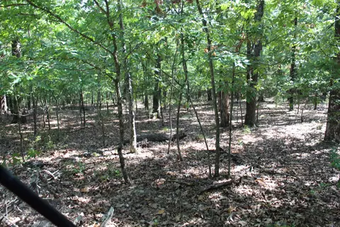 000 Lakeshore Rd #LOT 41, Protem, MO 65733