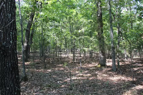 000 Lakeshore Rd #LOT 41, Protem, MO 65733 photo 12