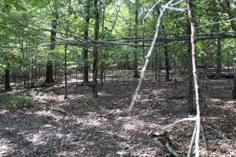 000 Lakeshore Rd #LOT 41, Protem, MO 65733 photo 10