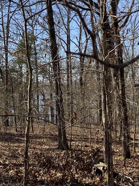 000 Lakeshore Rd #LOT 41, Protem, MO 65733 photo 26
