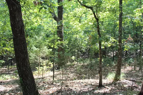 000 Lakeshore Rd #LOT 41, Protem, MO 65733 photo 8