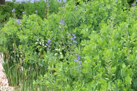 000 Lakeshore Rd #LOT 41, Protem, MO 65733 photo 33