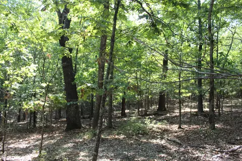 000 Lakeshore Rd #LOT 41, Protem, MO 65733 photo 11