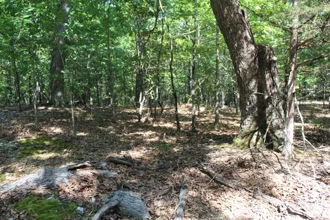 000 Lakeshore Rd #LOT 10, Protem, MO 65733 photo 13