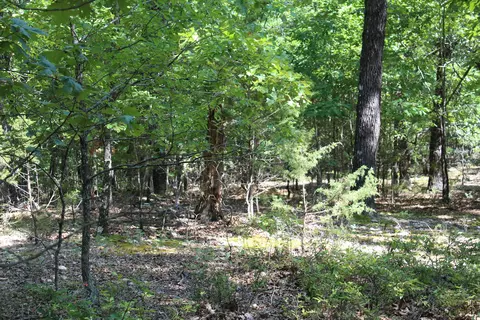 000 Lakeshore Rd #LOT 10, Protem, MO 65733 photo 9