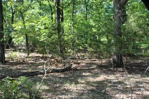 000 Lakeshore Rd #LOT 10, Protem, MO 65733 photo 6