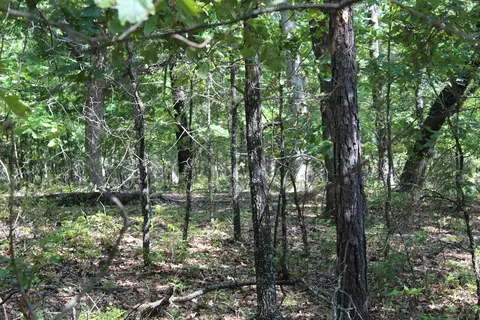 000 Lakeshore Rd #LOT 10, Protem, MO 65733 photo 12