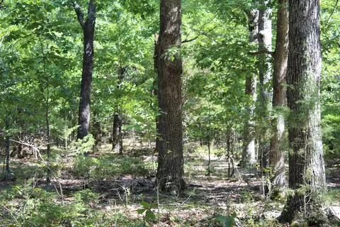 000 Lakeshore Rd #LOT 10, Protem, MO 65733 photo 4