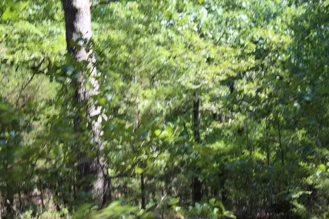 000 Lakeshore Rd #LOT 10, Protem, MO 65733 photo 5