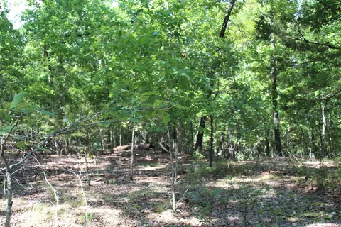 000 Lakeshore Rd #LOT 10, Protem, MO 65733 photo 7