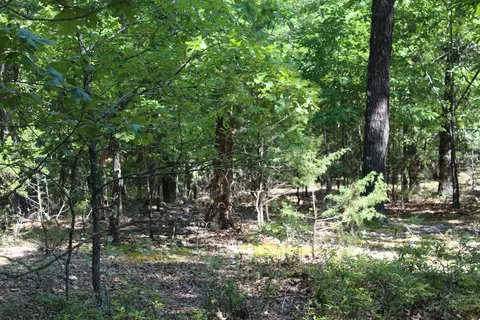 000 Lakeshore Rd #LOT 10, Protem, MO 65733 photo 10