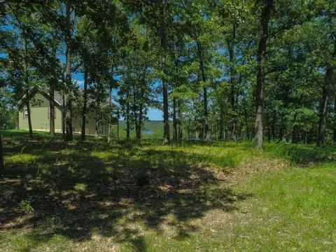 000 Lakeshore Rd #LOT 10, Protem, MO 65733 photo 45