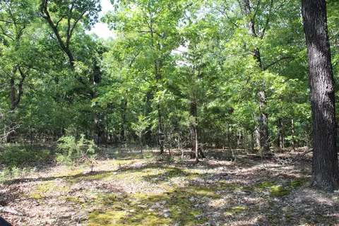 000 Lakeshore Rd #LOT 10, Protem, MO 65733 photo 14