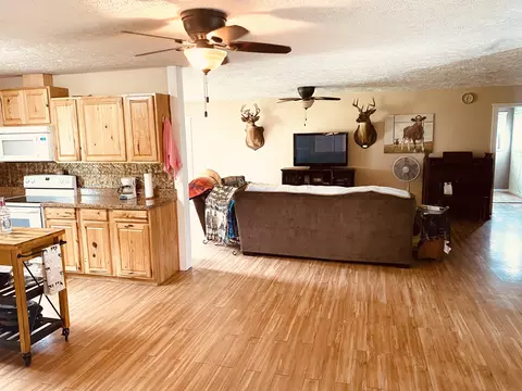 34 High Rdg, Gainesville, MO 65655 photo 14