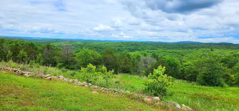 34 High Rdg, Gainesville, MO 65655 photo 52