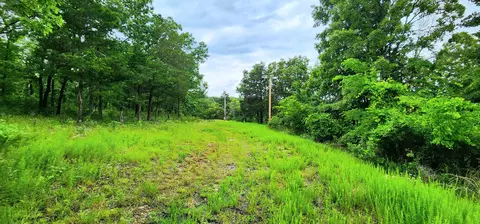 34 High Rdg, Gainesville, MO 65655 photo 36