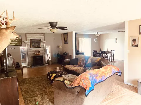 34 High Rdg, Gainesville, MO 65655 photo 15