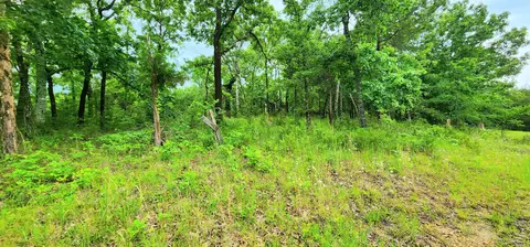 34 High Rdg, Gainesville, MO 65655 photo 35