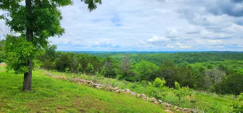 34 High Rdg, Gainesville, MO 65655 photo 51