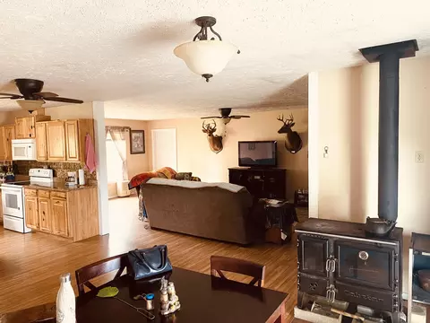 34 High Rdg, Gainesville, MO 65655 photo 12