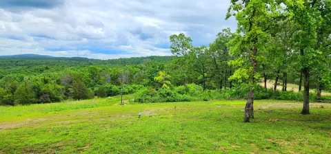 34 High Rdg, Gainesville, MO 65655 photo 53