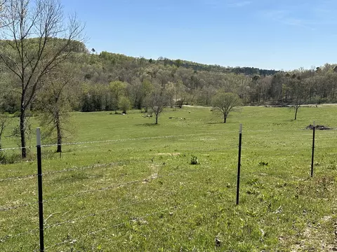 000 County Road 246, Drury, MO 65638 photo 16