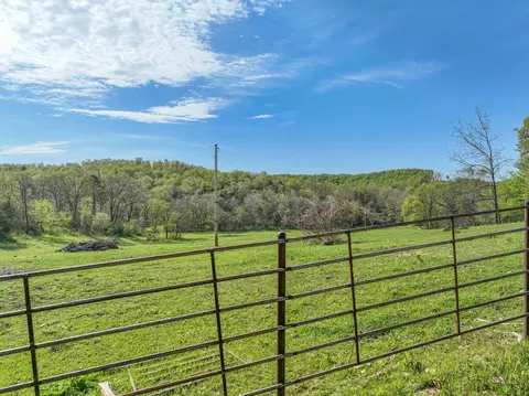 000 County Road 246, Drury, MO 65638 photo 2