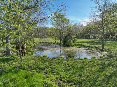 000 County Road 246, Drury, MO 65638 photo 13