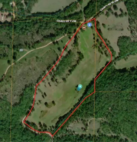 000 County Road 246, Drury, MO 65638 photo 4
